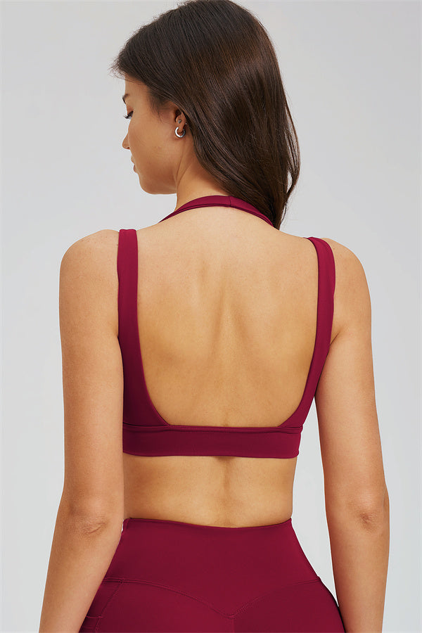 The Sizzle Sports Bra