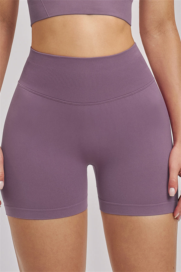 The Vision Sports Bra Shorts 2-Piece Set