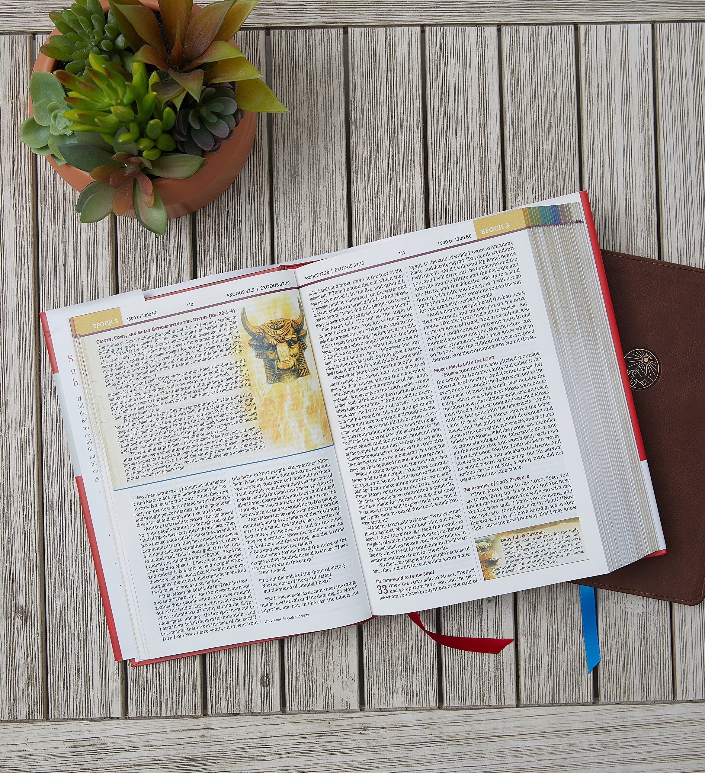 NKJV, Chronological Study Bible, Hardcover, Comfort Print: Holy Bible, New King James Version