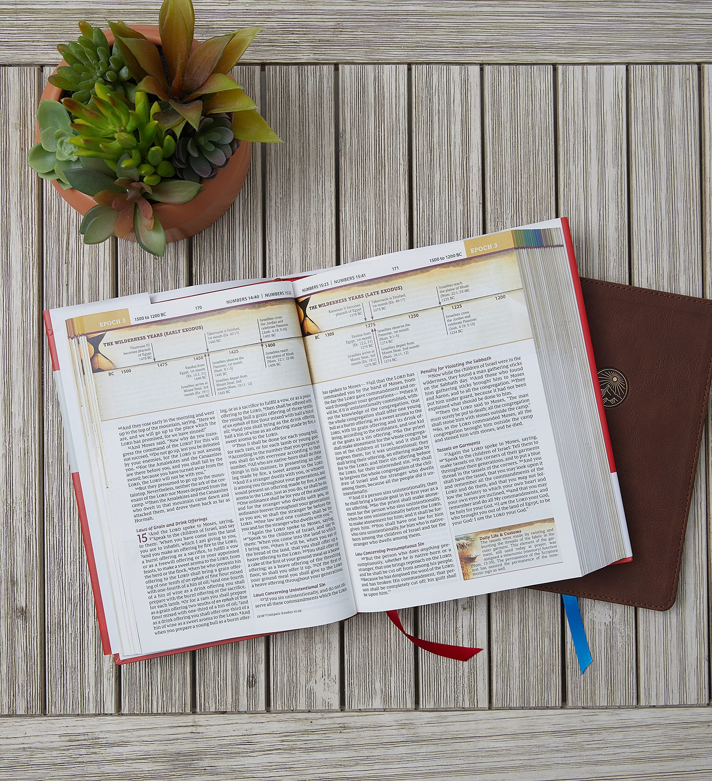 NKJV, Chronological Study Bible, Hardcover, Comfort Print: Holy Bible, New King James Version