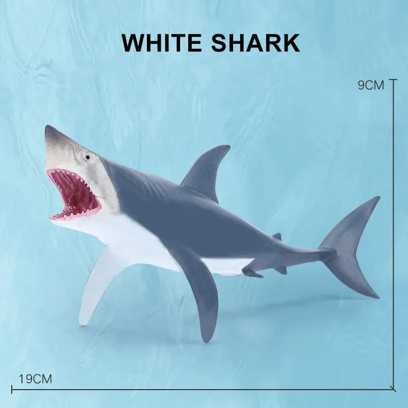 Simulation Marine Sea Life Whale Figurines Shark Cachalot Action Figures Ocean Animal Model Dolphin Hammerhead Educational Toys