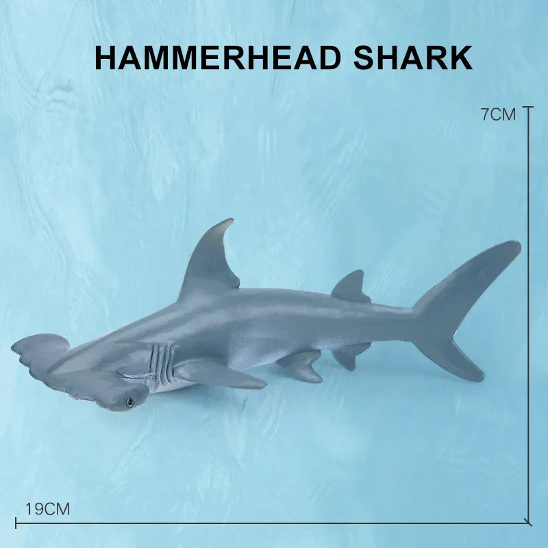 Simulation Marine Sea Life Whale Figurines Shark Cachalot Action Figures Ocean Animal Model Dolphin Hammerhead Educational Toys