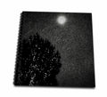 3dRose Beautiful moon and a tree with strings of lights at night - Drawing Books (db_352278)
