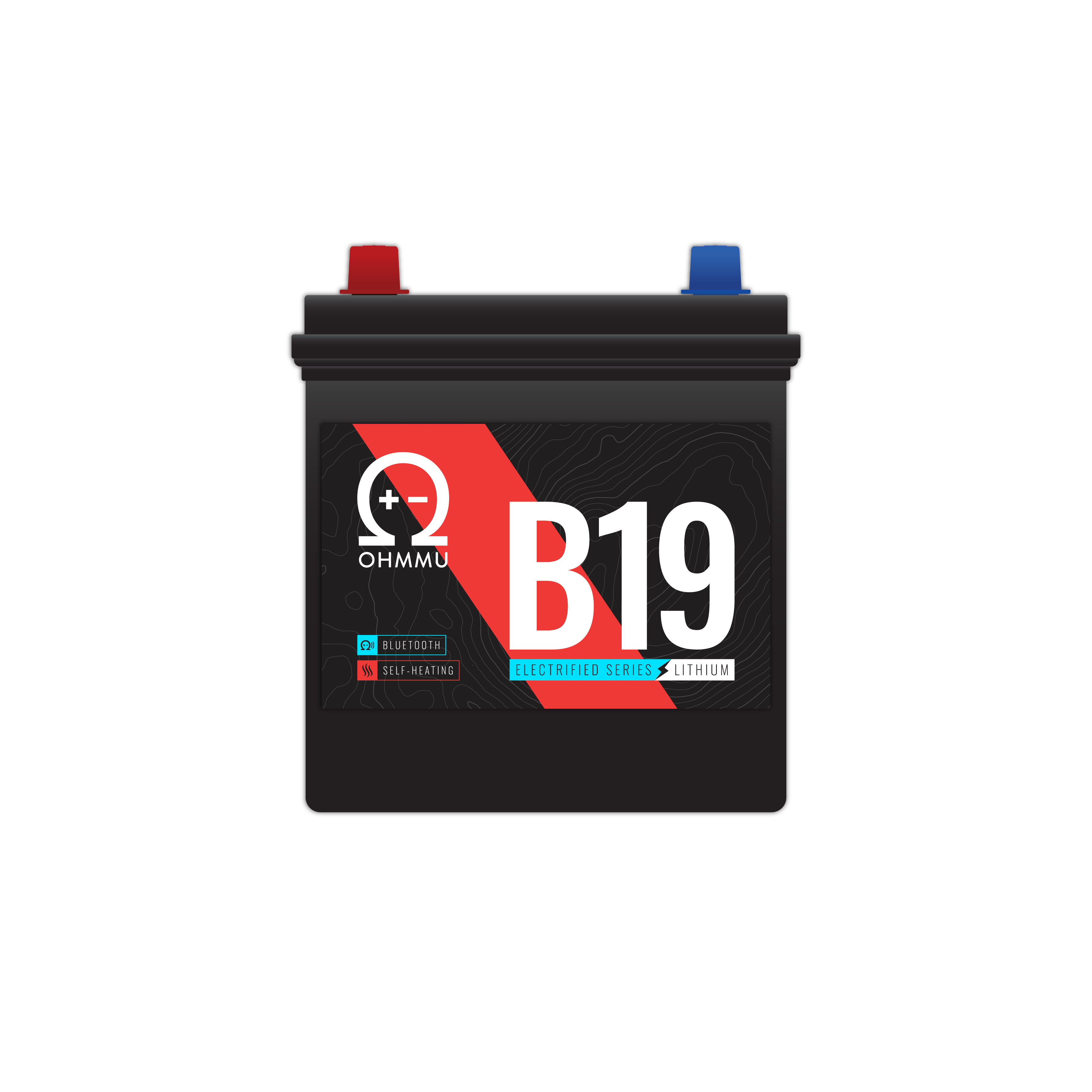 B19 - Lithium 12V Battery for Toyota Prius