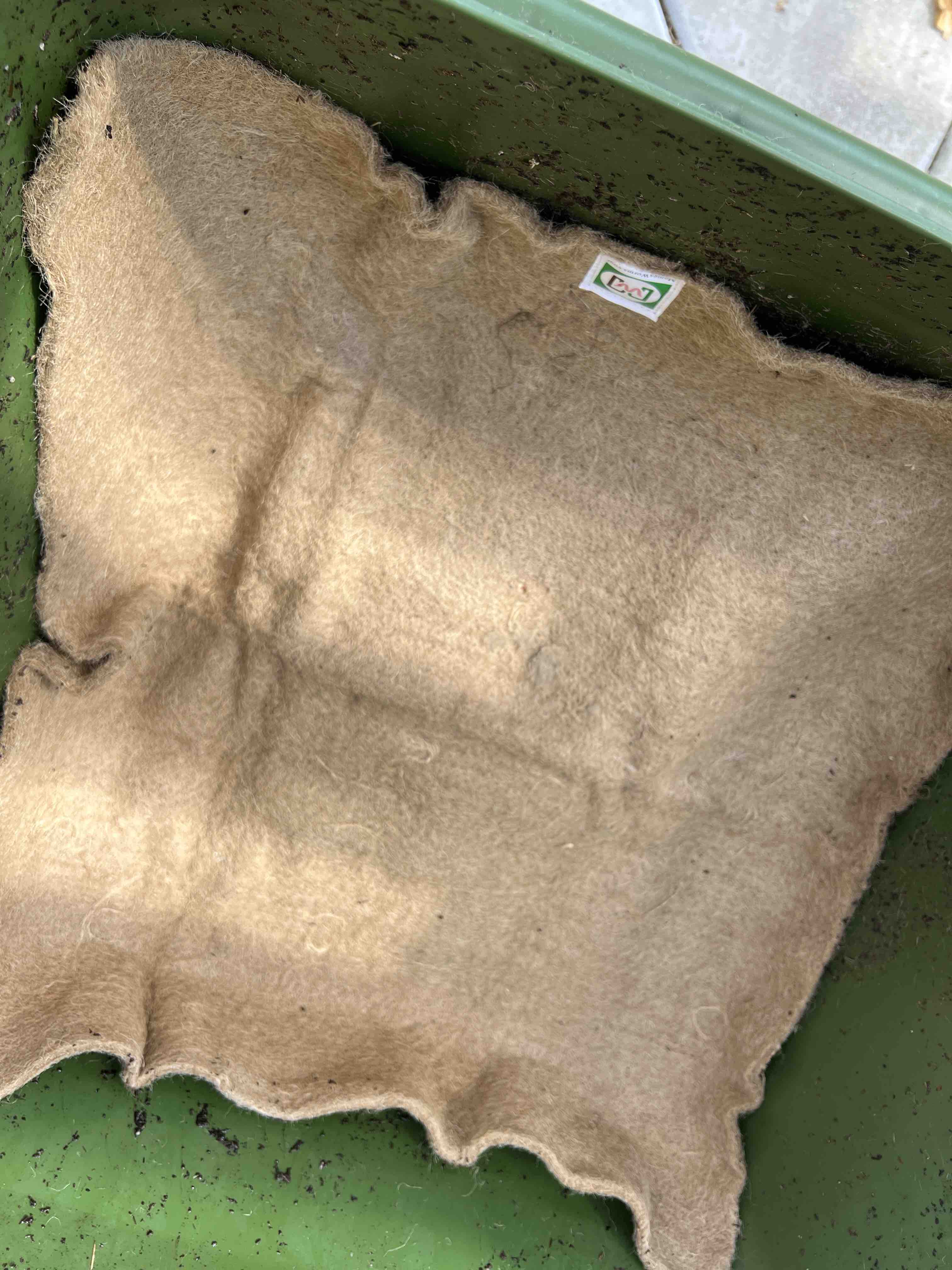 Meme's Worm Blanket