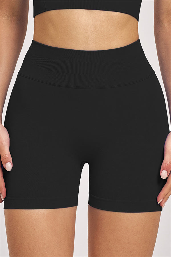 The Vision Sports Bra Shorts 2-Piece Set