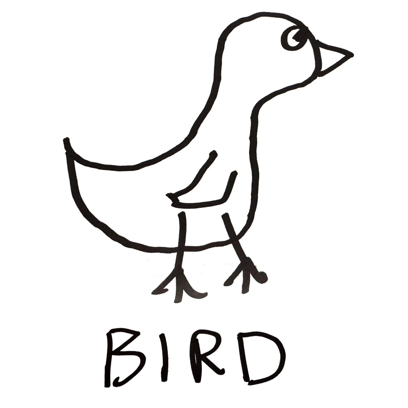 Bird - Women's Fitted Tee