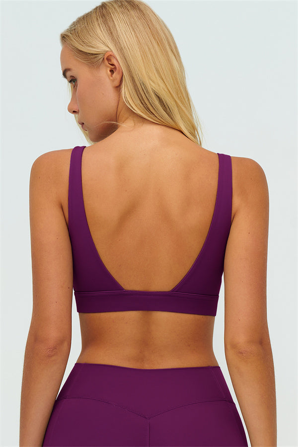 The Lushness V-Back Sports Bra Shorts 2-Piece Set